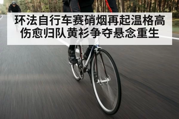环法自行车赛硝烟再起温格高伤愈归队黄衫争夺悬念重生